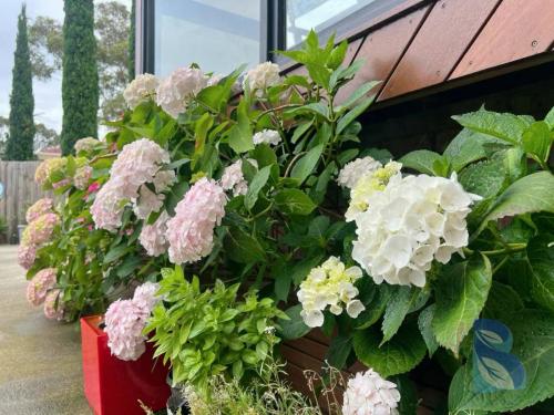 图片_20240127215849