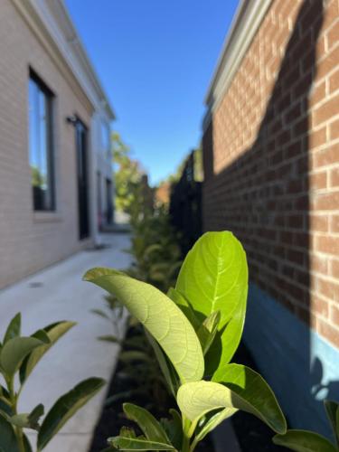 图片_20240527114316