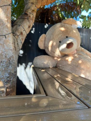 图片_20240527114324