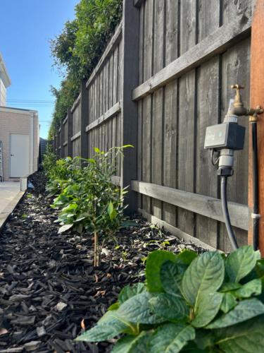 图片_20240527114334